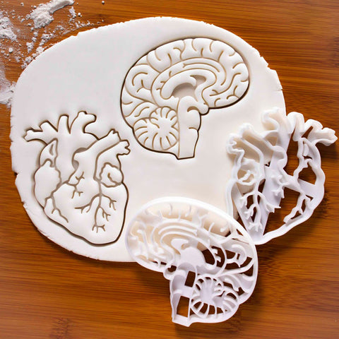 Anatomy Cookie Cutters